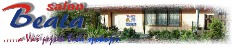 Střihání psů Příbram, salon Beata